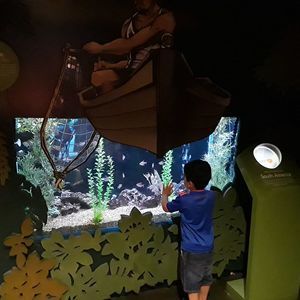 Meet your Posher, Marisol